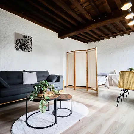 Le Nid Lillois Λιλ