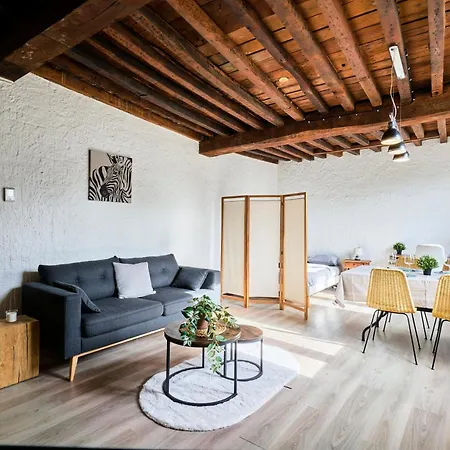 Le Nid Lillois Διαμέρισμα